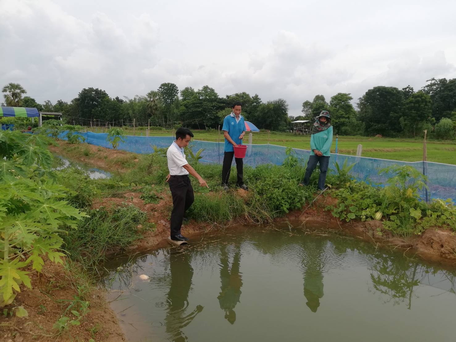 วันที่ 20 กรกฎาคม 2565  นายวิทยา ประเสริฐสังข์ ประมงอำเภอโนนสัง  ติดตามการอนุบาลเพาะพันธุ์ปลาตะเพียนด้วยชุดเพาะพันธุ์ปลาเคลื่อนที่ ตามโครงการส่งเสริมเกษตรอินทรีย์ วิถีหนองบัวลำภู ตามหลักเกษตร - ศาสตร์พระราชา ณ จุดเรียนรู้นายสุริยะ นามรินทร์ ตำบลหนองเรือ อำเภอโนนสัง จังหวัดหนองบัวลำภู..คลิก