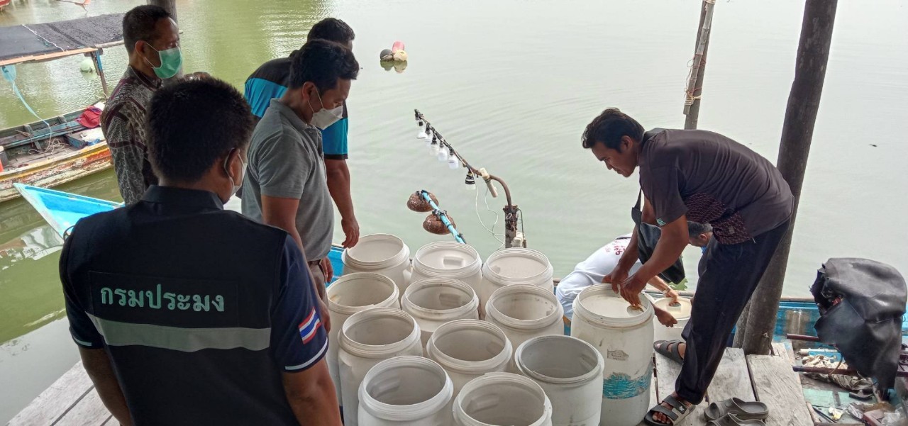 กิจกรรมปล่อยพันธุ์กุ้งกุลาดำ จำนวน 100,000 ตัว บริเวณบ้านบางตาหยาด อ.สายบุรี จ.ปัตตานี..คลิก