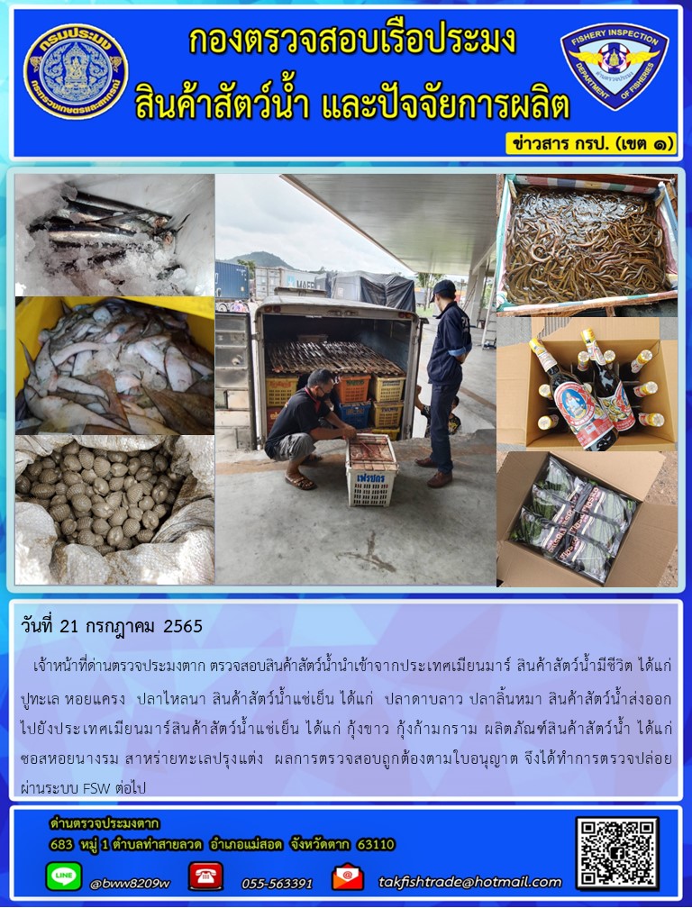 วันที่ 21 กรกฎาคม 2565   เจ้าหน้าที่ด่านตรวจประมงตาก ตรวจสอบสินค้าสัตว์น้ำนำเข้าจากประเทศเมียนมาร์ สินค้าสัตว์น้ำมีชีวิต ได้แก่      ปูทะเล หอยแครง  ปลาไหลนา สินค้าสัตว์น้ำแช่เย็น ได้แก่  ปลาดาบลาว ปลาลิ้นหมา สินค้าสัตว์น้ำส่งออก          ไปยังประเทศเมียนมาร์สินค้าสัตว์น้ำแช่เย็น ได้แก่ กุ้งขาว กุ้งก้ามกราม ผลิตภัณฑ์สินค้าสัตว์น้ำ ได้แก่                ซอสหอยนางรม สาหร่ายทะเลปรุงแต่ง  ผลการตรวจสอบถูกต้องตามใบอนุญาต จึงได้ทำการตรวจปล่อย               ผ่านระบบ FSW ต่อไป..คลิก