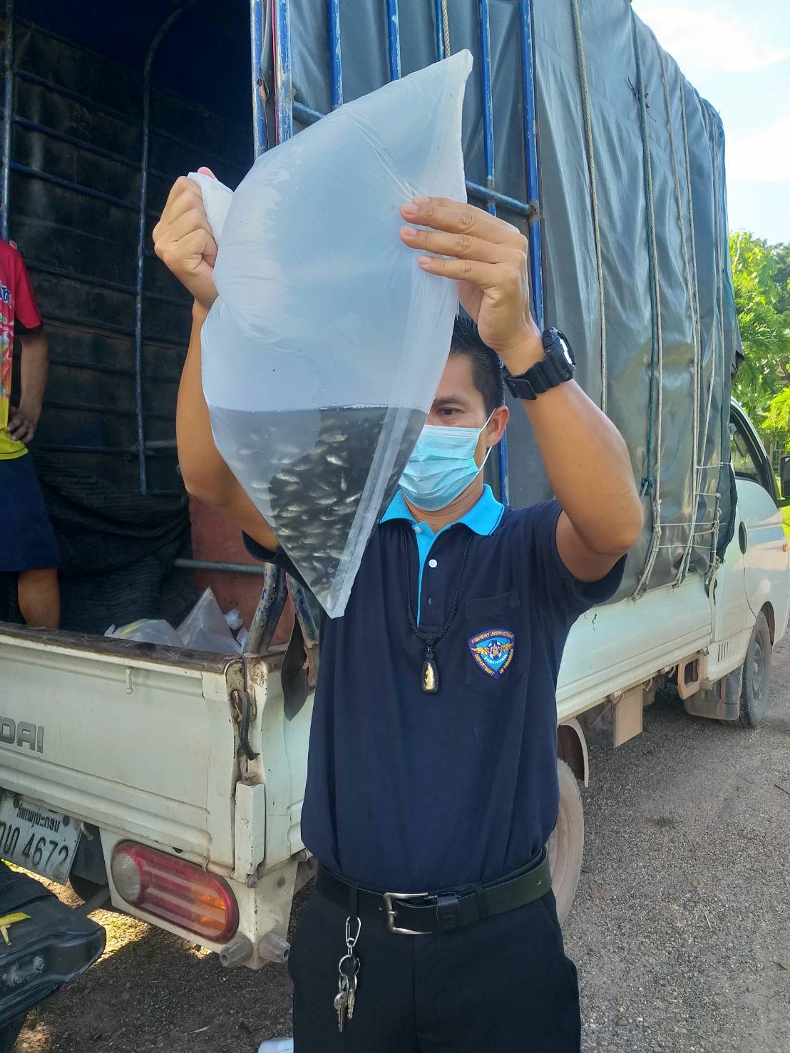 ตรวจสอบลูกพันธุ์สัตว์น้ำ ส่งออกไปยัง สปป.ลาว..คลิก