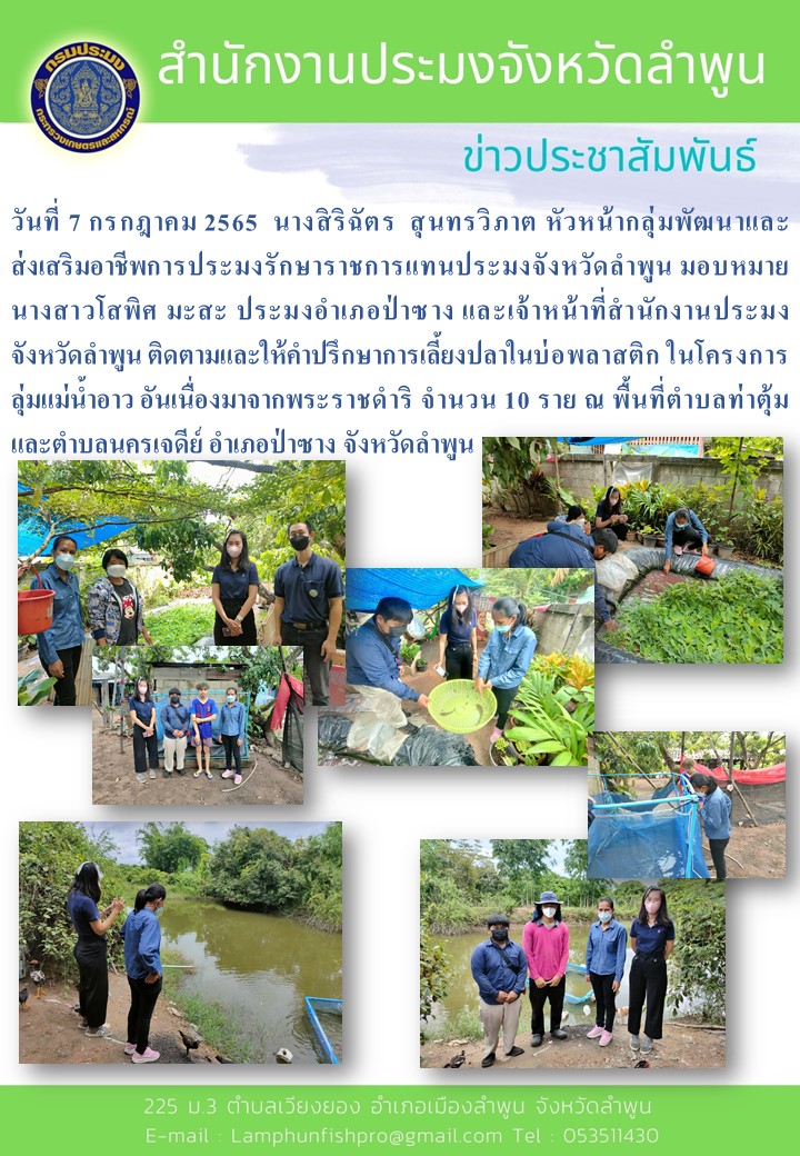 สำนักงานประมงจังหวัดลำพูน ประมงอำเภอป่าซาง  ติดตามและให้คำปรึกษาการเลี้ยงปลาในบ่อพลาสติก ในโครงการลุ่มแม่น้ำอาว อันเนื่องมาจากพระราชดำริ..คลิก