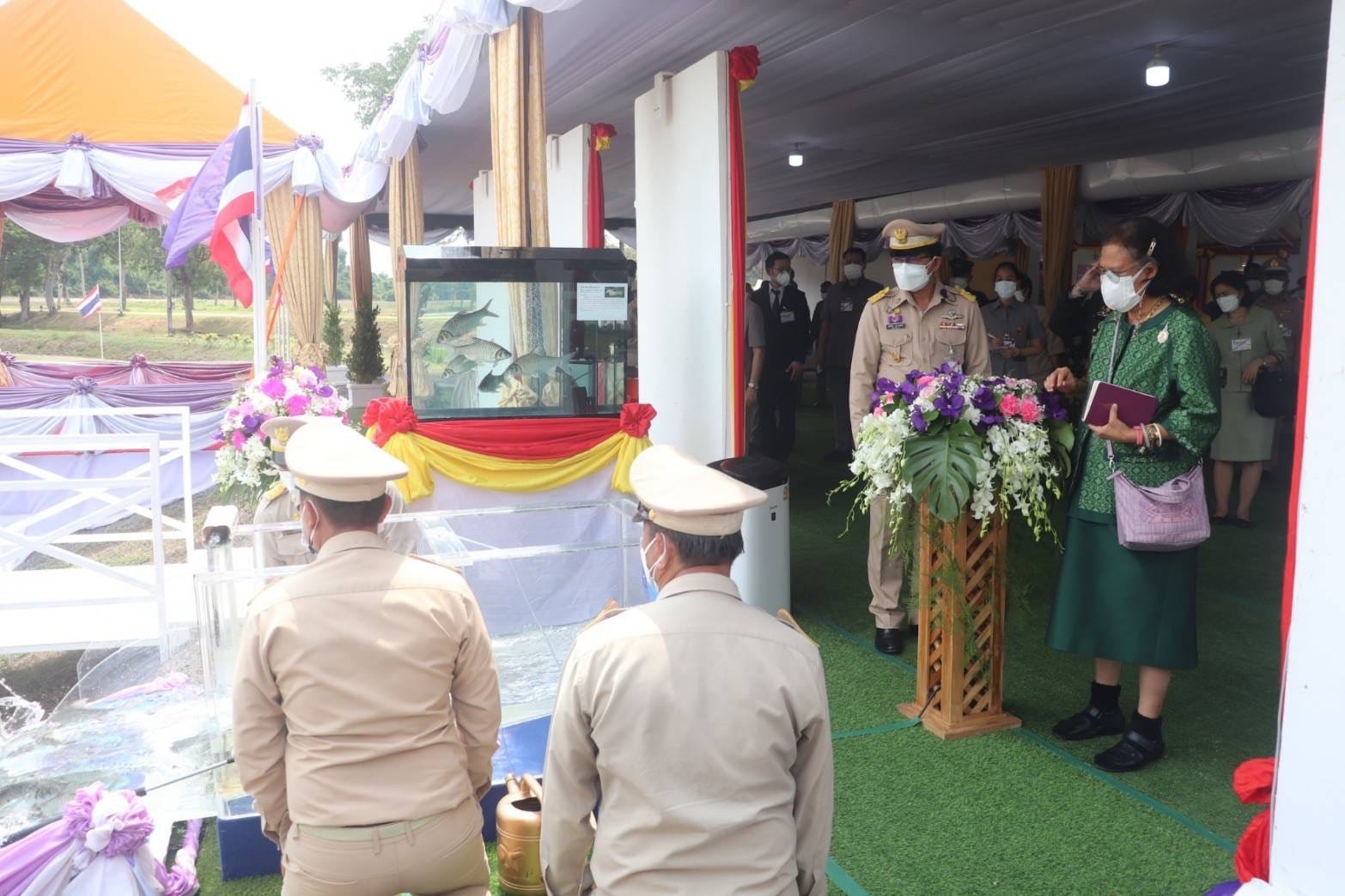 พลเอกหญิง สมเด็จพระกนิษฐาธิราชเจ้า กรมสมเด็จพระเทพรัตนราชสุดาฯ สยามบรมราชกุมารี ในวโรกาสเสด็จพระราชดําเนินเป็นการส่วนพระองค์ทรงปลูกข้าว ณ แปลงนาสาธิตการเกษตร พร้อมปล่อยพันธุ์ปลาตะเพียนขาวลงสู่แปลงนาสาธิตการเกษตร ณ โรงเรียนนายร้อยพระจุลจอมเกล้า อําเภอเมืองนครนายก จังหวัดนครนายก..คลิก