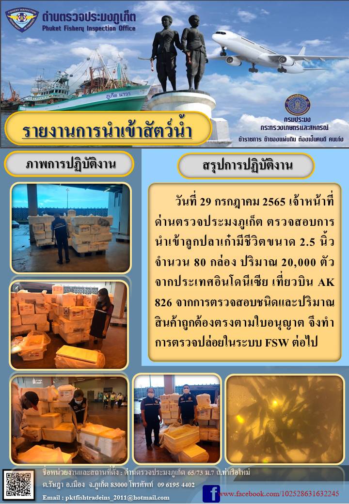 วันที่ 29 กรกฎาคม 2565 เจ้าหน้าที่ด่านตรวจประมงภูเก็ต ตรวจสอบการนำเข้าลูกปลาเก๋ามีชีวิตขนาด 2.5 นิ้ว จำนวน 80 กล่อง ปริมาณ 20,000 ตัว จากประเทศอินโดนีเซีย เที่ยวบิน AK 826 จากการตรวจสอบชนิดและปริมาณสินค้าถูกต้องตรงตามใบอนุญาต จึงทำการตรวจปล่อยในระบบ FSW ต่อไป..คลิก