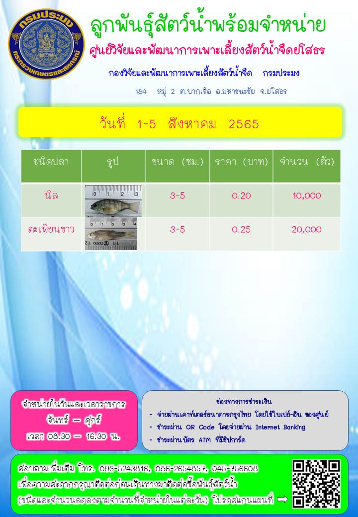 ลูกพันธุ์สัตว์น้ำพร้อมจำหน่าย 1 - 5 ส.ค. 2565..คลิก
