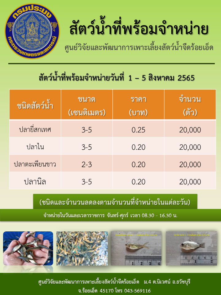 พันธุ์ปลาที่มีจำหน่ายประจำสัปดาห์..คลิก