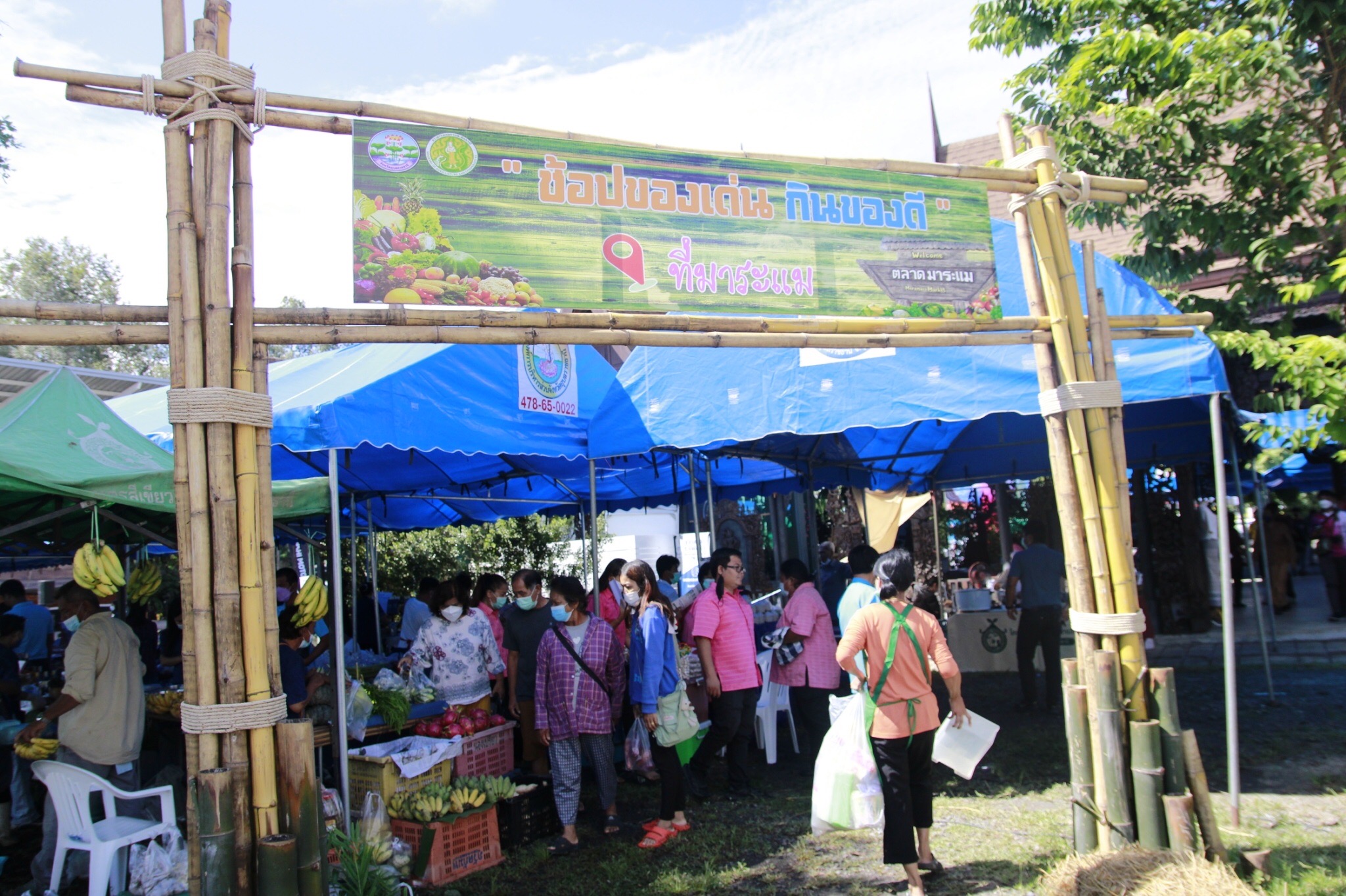 รูป ประกอบบทความ3