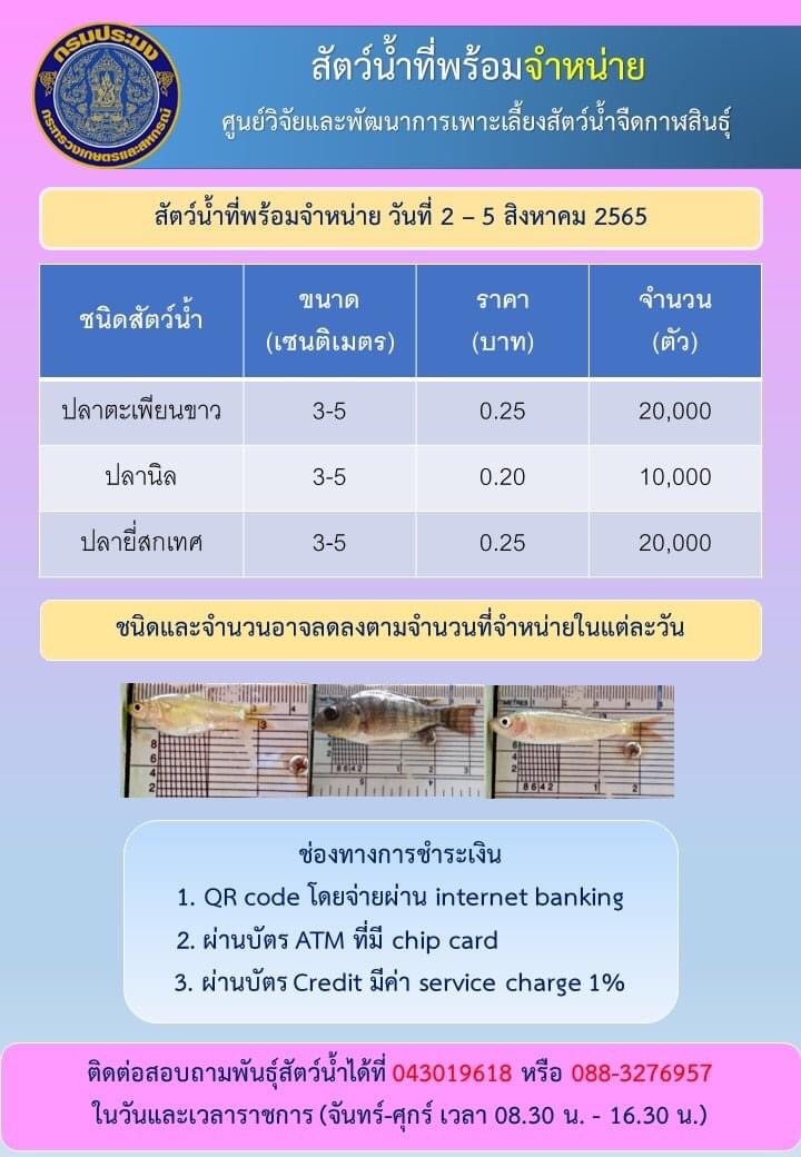 พันธุ์สัตว์น้ำที่พร้อมจำหน่ายประจำสัปดาห์