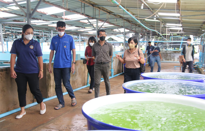 หารือแนวทางการขับเคลื่อนให้ศูนย์วิจัยและพัฒนาการเพาะเลี้ยงสัตว์น้ำชายฝั่งตราด เป็นศูนย์กลางการเพาะเลี้ยงสาหร่ายทะเลของภาคตะวันออก..คลิก
