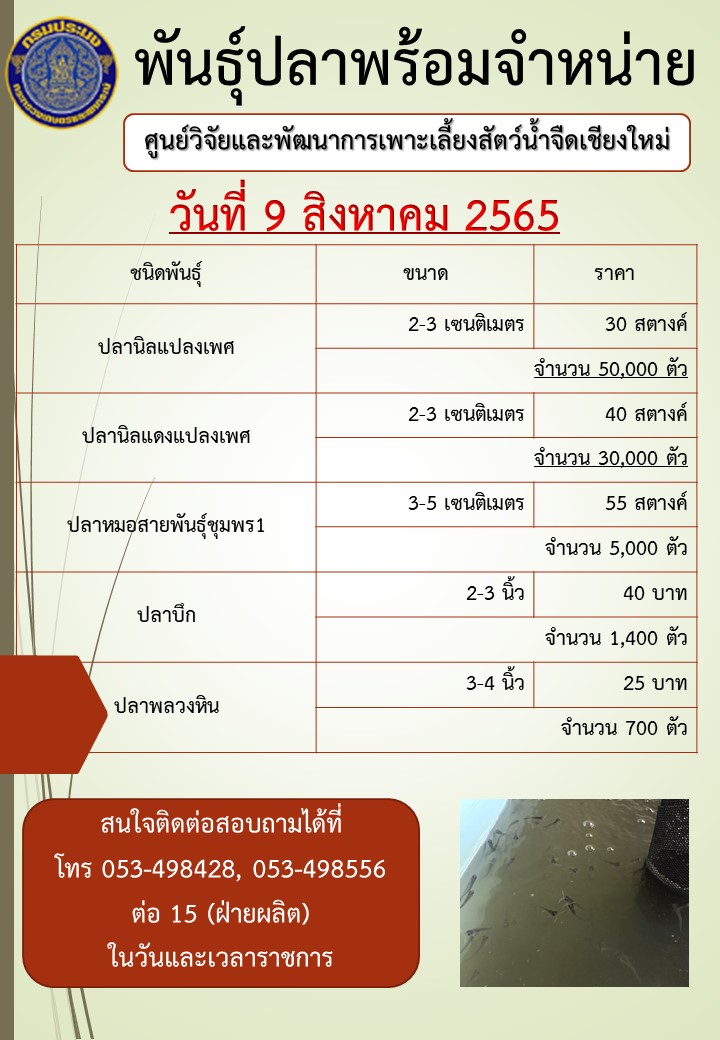 พันธุ์ปลาพร้อมจำหน่าย วันที่ 9 สิงหาคม 2565..คลิก