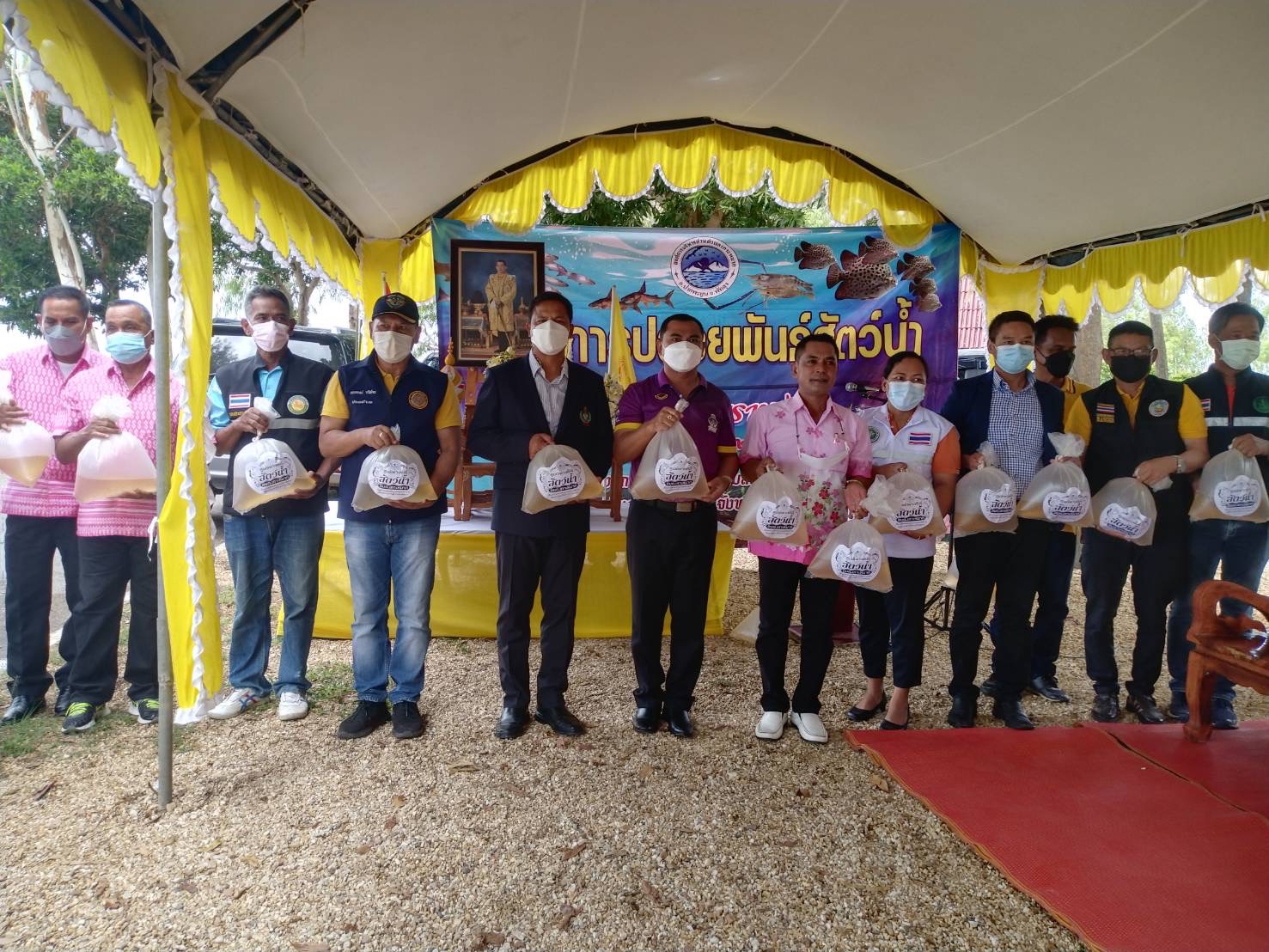 ประมงอำเภอปากพะยูน ร่วมปล่อยพันธุ์กุ้งก้ามเพื่อสร้างความอุดมสมบูรณ์ให้กับทะเลสาบสงขลา พื้นที่อำเภอปากพะยูน