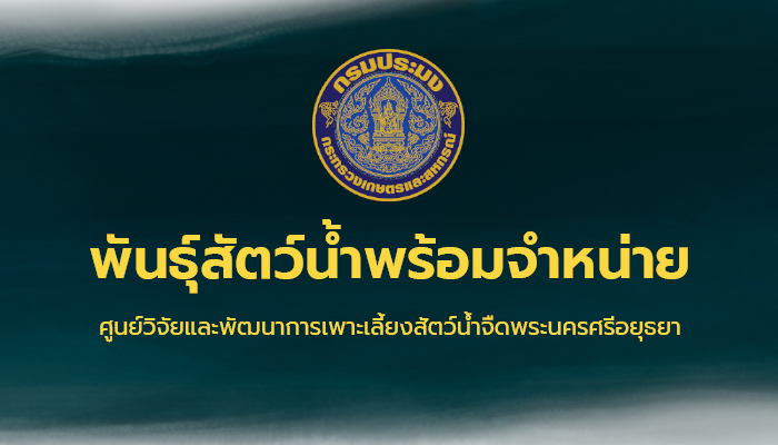 ชนิดพันธ์ุสัตว์น้ำพร้อมจำหน่าย (8 - 11 สิงหาคม 2565) ศพจ.พระนครศรีอยุธยา