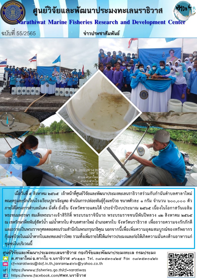 การปล่อยพันธุ์กุ้งกรัม  ภายใต้โครงการตำบลมั่นคง มั่งคั่ง ยั่งยืน จังหวัดชายแดนใต้ ประจำปีงบประมาณ 2565 เนื่องในโอกาสวันเฉลิม  พระชนมพรรษา สมเด็จพระนางเจ้าสิริกิติ์ พระบรมราชินีนาถ พระบรมราชชนนีพันปีหลวง