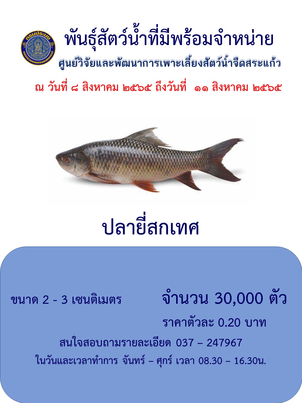 ลูกพันธุ์ปลายี่สกเทศพร้อมจำหน่าย