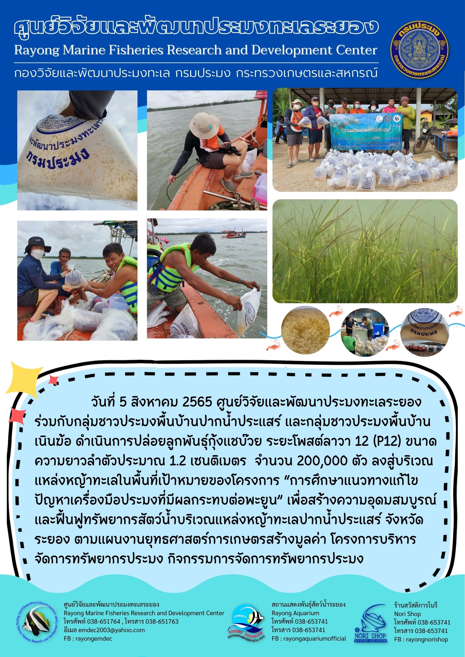 กิจกรรมปล่อยลูกพันธุ์กุ้งแชบ๊วย..คลิก