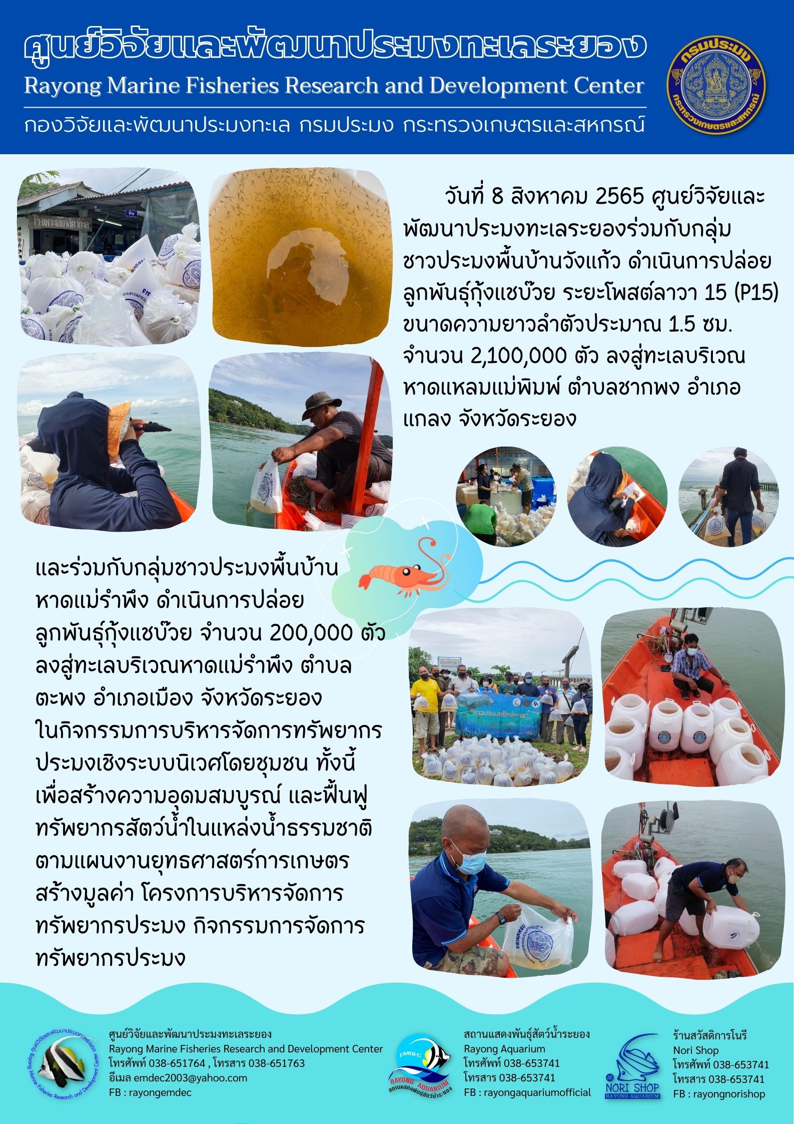 กิจกรรมปล่อยลูกพันธุ์กุ้งแชบ๊วย..คลิก