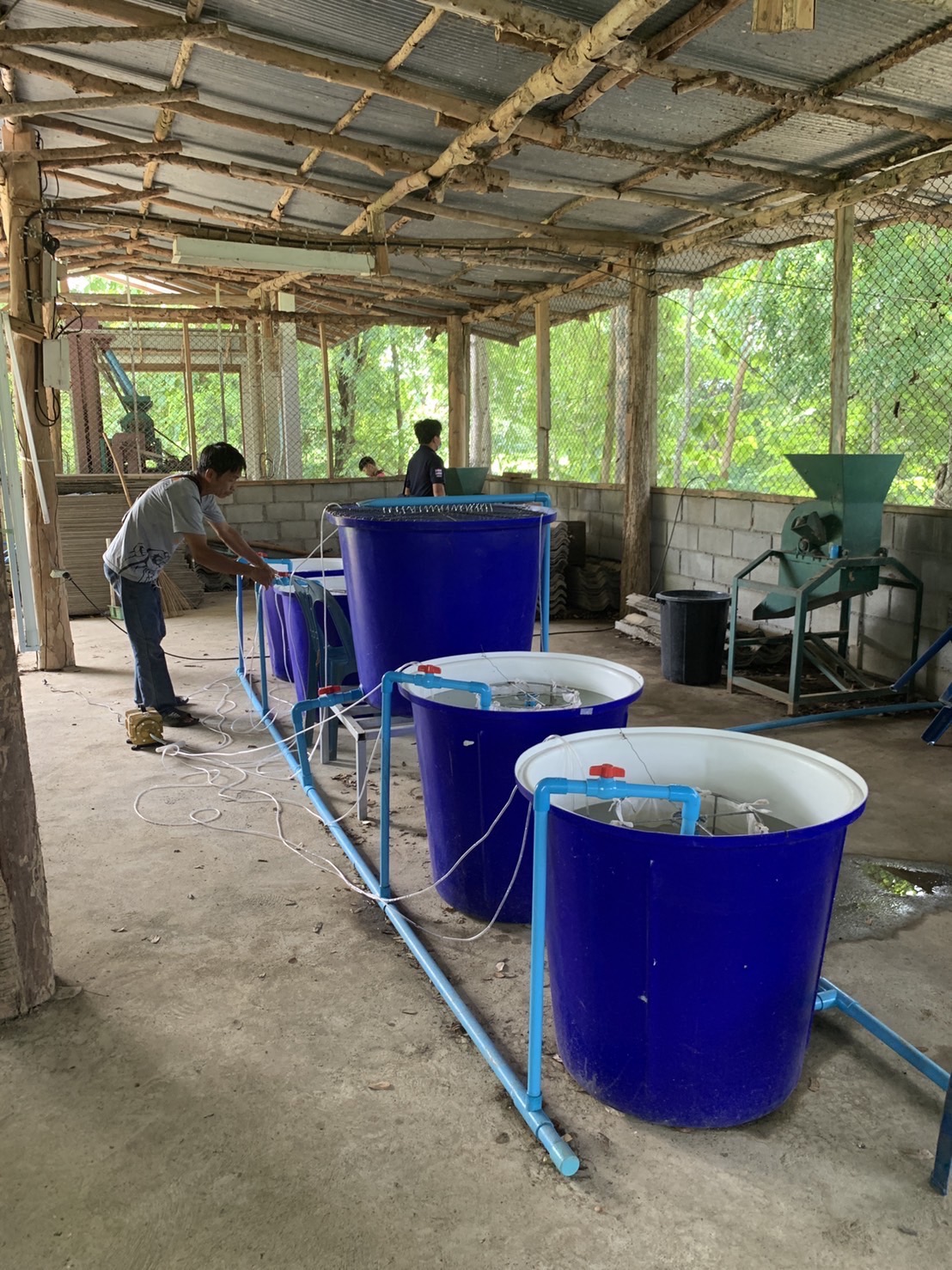 โครงการธนาคารสินค้าเกษตร (กิจกรรมสนับสนุนผลผลิตสัตว์น้ำแบบมีส่วนร่วม)ปี2565..คลิก