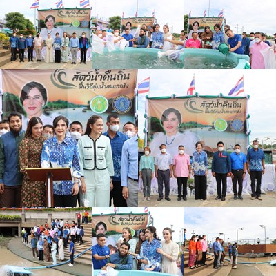 วันที่ (7 ส.ค. 65) นายสุชาติ ผึ่งฉิมพลี ผู้อำนวยการศูนย์วิจัยและพัฒนาการเพาะเลี้ยงสัตว์น้ำจืดอุทัยธานี ร่วมกับสำนักงานประมง จัดกิจกรรมปล่อยพันธุ์สัตว์น้ำคืนถื่นฟี้นวิถีลุ่มน้ำสะแกกรัง โดยมีรัฐมนตรีช่วยว่าการกระทรวงเกษตรและสหกรณ์ (นางสาวมนัญญา ไทยเศรษฐ์) เป็นประธาน พร้อมด้วยข้าราชการและประชาชนร่วมกันปล่อยพันธุ์ปลาเพื่ออนุรักษ์พันธุ์สัตว์น้ำ
