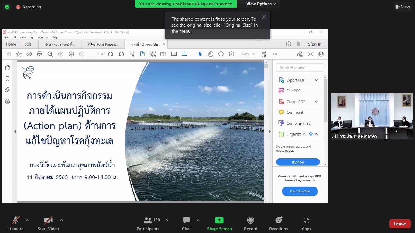 สำนักงานประมงจังหวัดพัทลุง เข้าร่วมการประชุมติดตามความก้าวหน้าแผนฟื้นฟูผลผลิตกุ้งทะเลของประเทศไทย