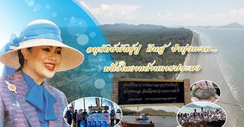 สืบสานพระราชปณิธาน สู่การพัฒนาประมงที่ยั่งยืน ตอน อนุรักษ์พันธุ์ปูป่าทุ่งทะเล หนึ่งในงานด้านการประมง