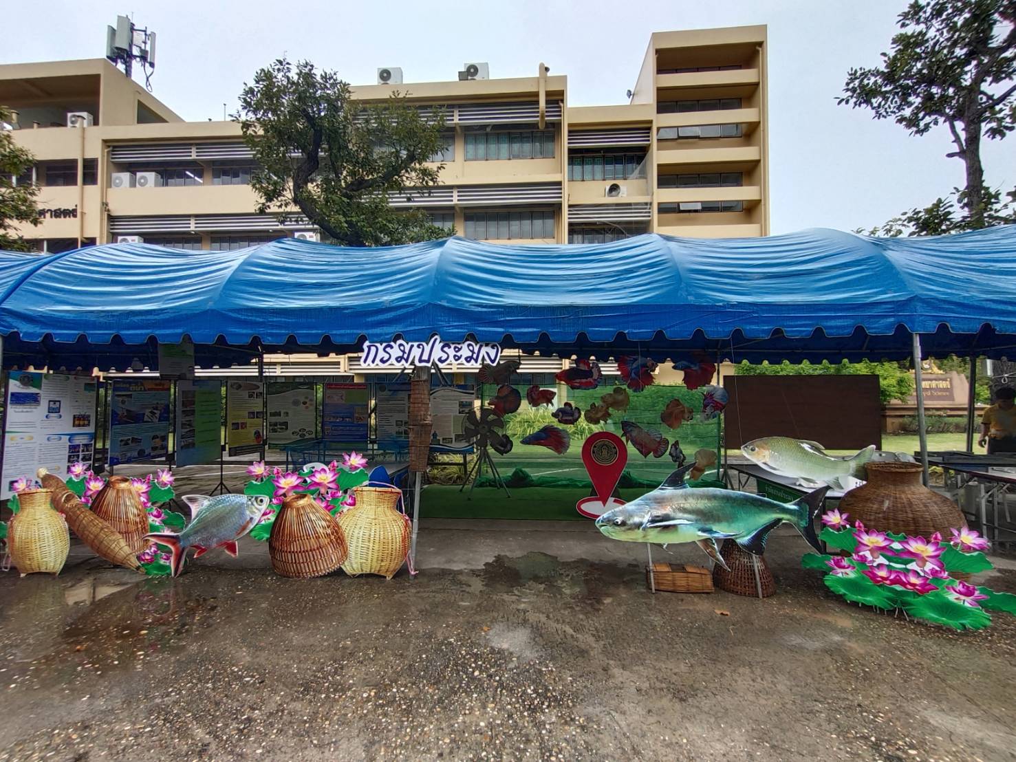 ประมงอุบลฯ ลุยเตรียมสถานที่ สำหรับจัดแสดงนิทรรศการด้านการประมง เนื่องในวันสัปดาห์วิทยาศาสตร์แห่งชาติ ประจำปี 2565 