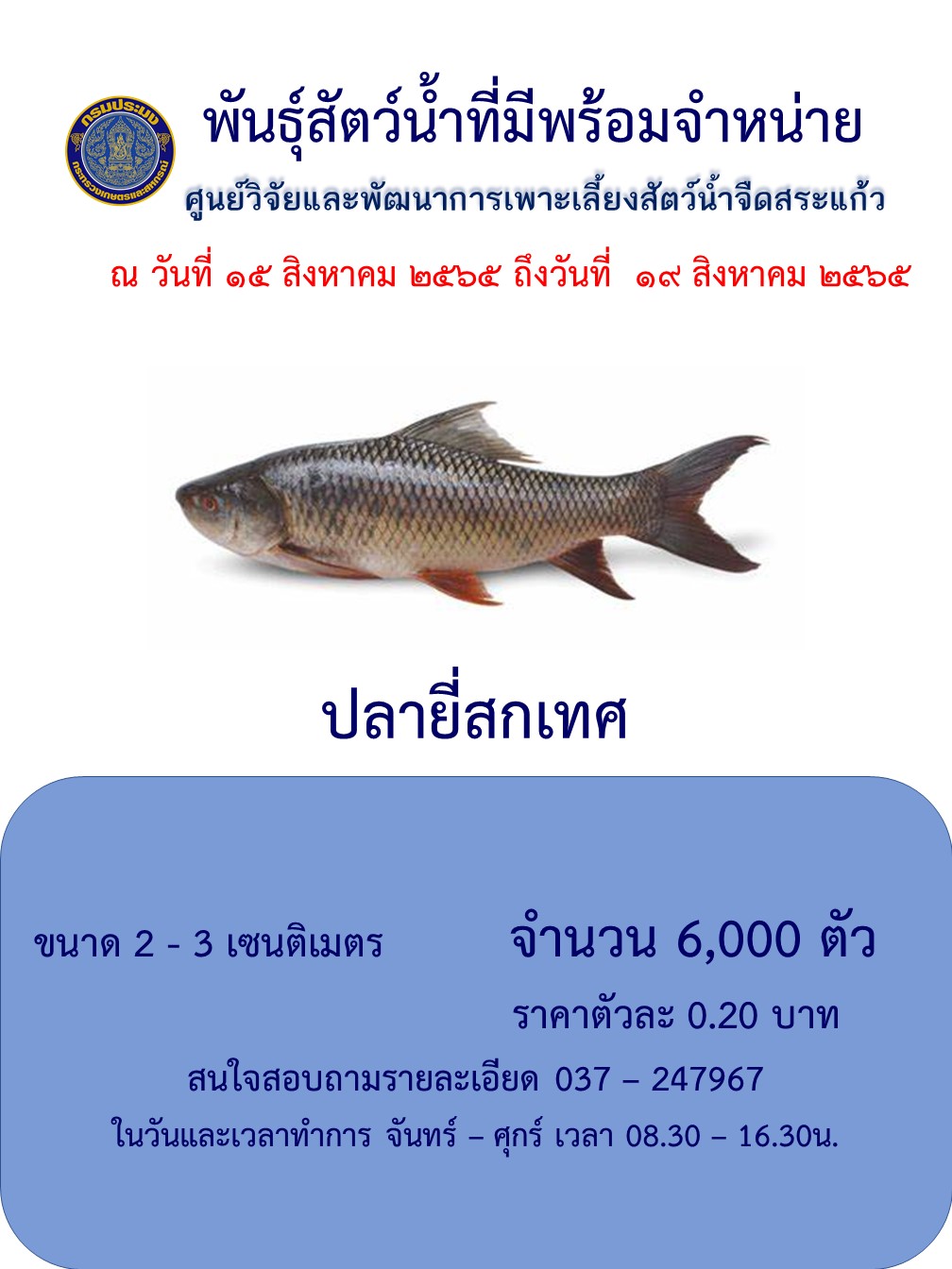 ลูกพันธุ์ปลายี่สกเทศพร้อมจำหน่าย