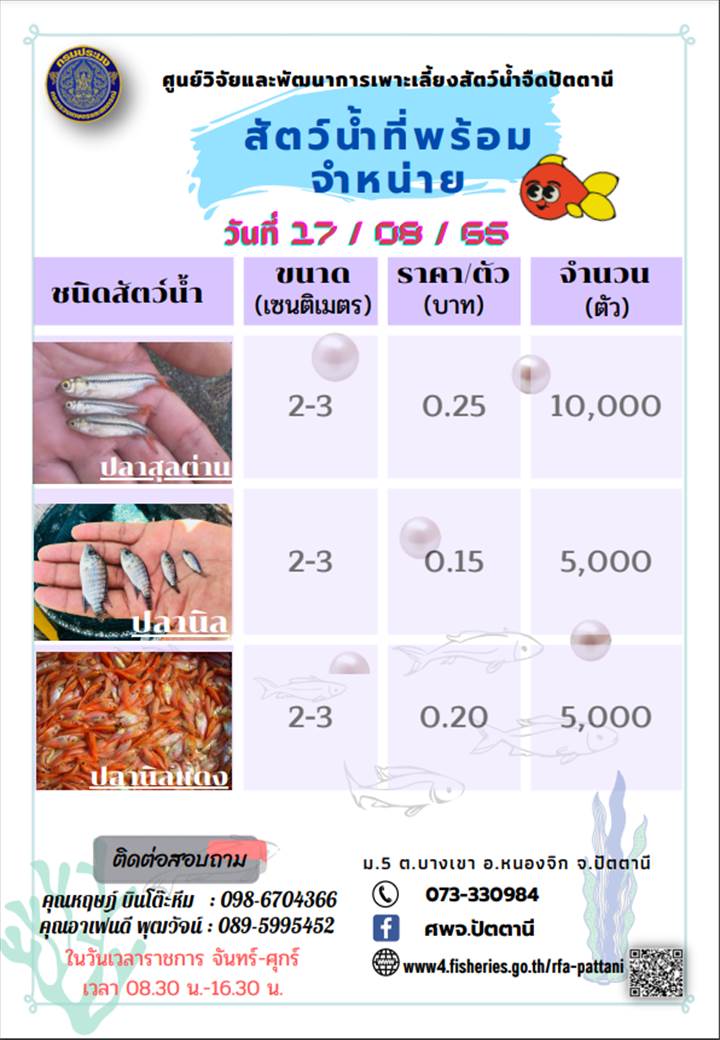 สัตว์น้ำพร้อมจำหน่าย..คลิก