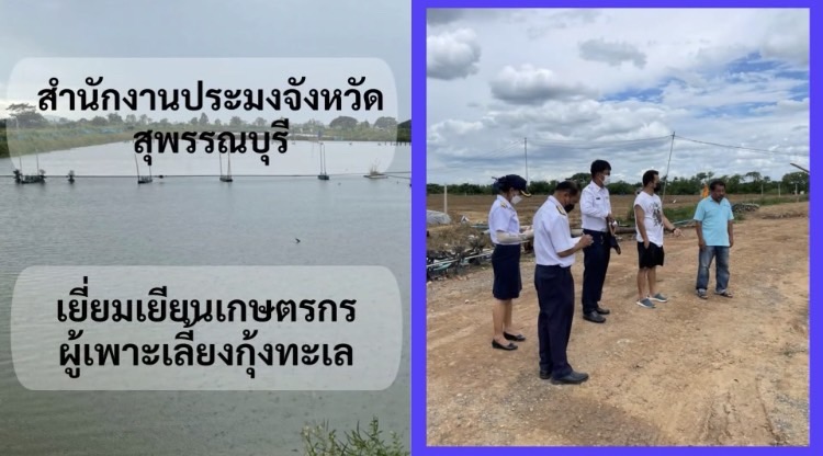 ติดตามสถานการณ์ การเพาะเลี้ยงกุ้งทะเล ในพื้นที่อำเภออู่ทอง จังหวัดสุพรรณบุรี