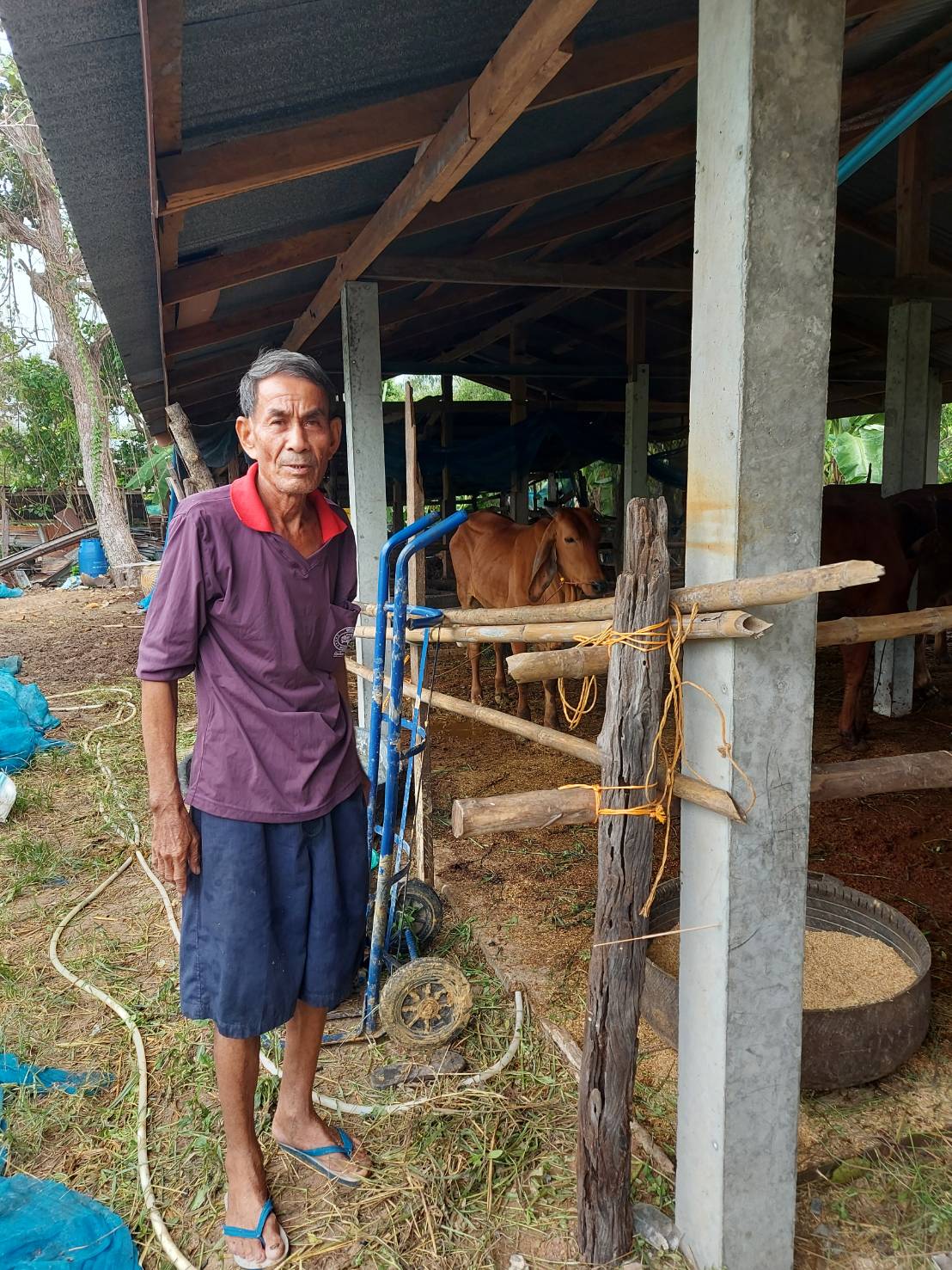  ประมงอำเภอม่วงสามสิบ ตรวจฟาร์เพาะเลี้ยงวัตว์น้ำที่ขอขึ้นทะเบียน ทบ.1 เชิงพาณิชย์ ของนายสำเร็จ  ลาภยิ่ง 139 ม.8 ต.หนองช้างใหญ่ อ.ม่วงสามสิบ