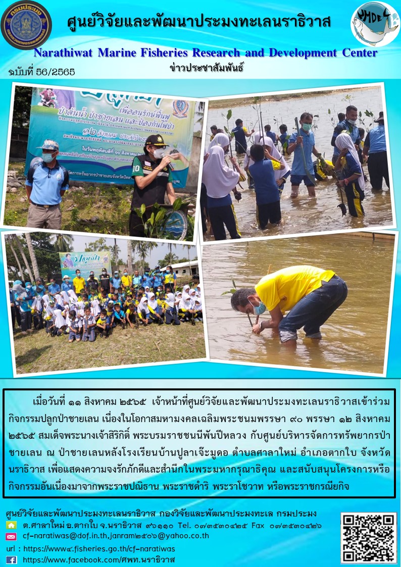 กิจกรรมปลูกป่าชายเลน เนื่องในโอกาสมหามงคลเฉลิมพระชนมพรรษา 90 พรรษา 12 สิงหาคม 2565 สมเด็จพระนางเจ้าสิริกิติ์ พระบรมราชชนนีพันปีหลวง..คลิก