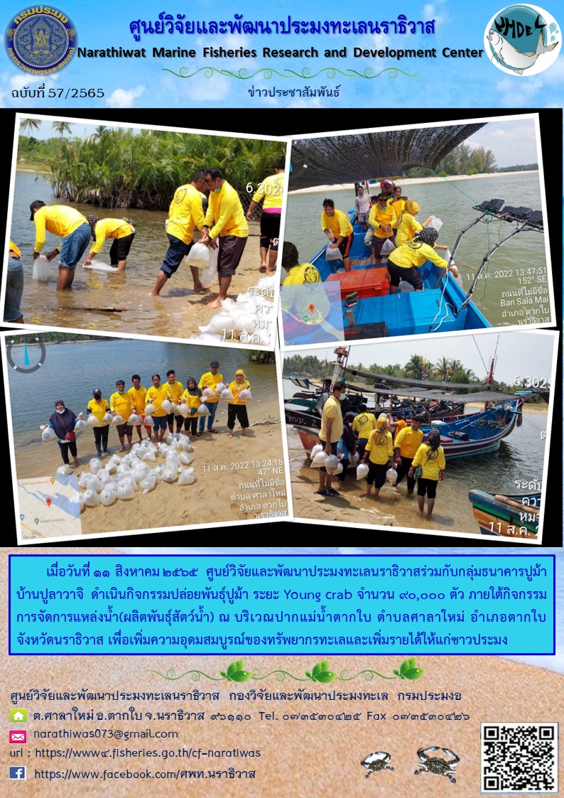 กิจกรรมปล่อยพันธุ์ปูม้า ระยะ Young crab จำนวน 90,000 ตัว ภายใต้กิจกรรมการจัดการแหล่งน้ำ(ผลิตพันธุ์สัตว์น้ำ) 2565..คลิก
