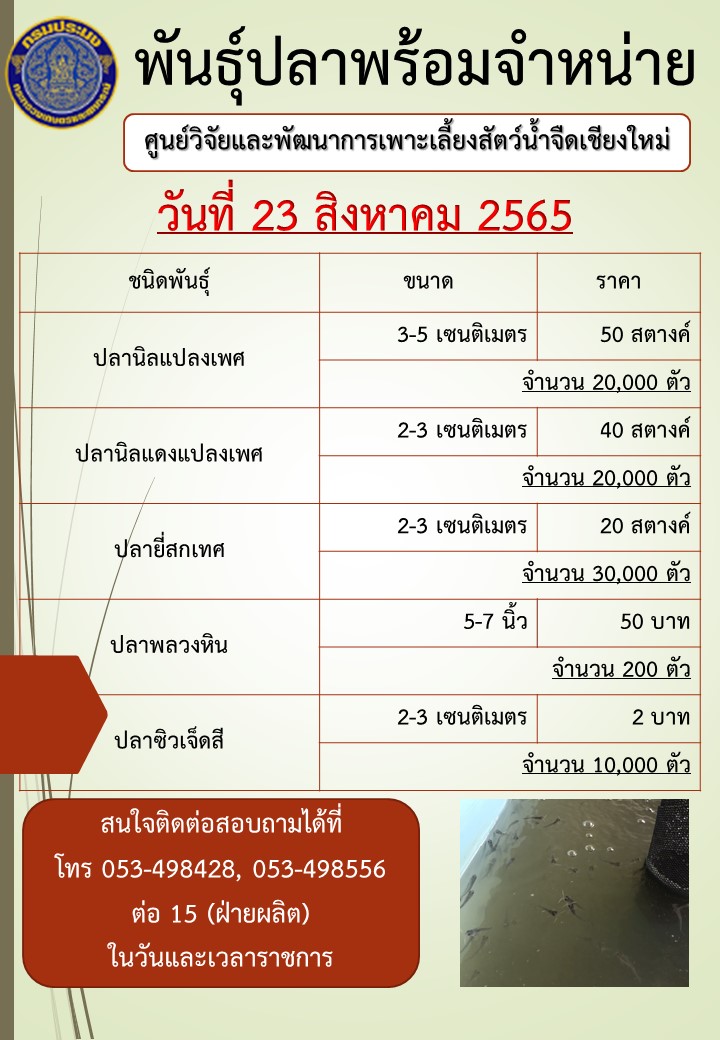 จำหน่ายพันธุ์ปลา วันที่ 23 สิงหาคม 2565..คลิก