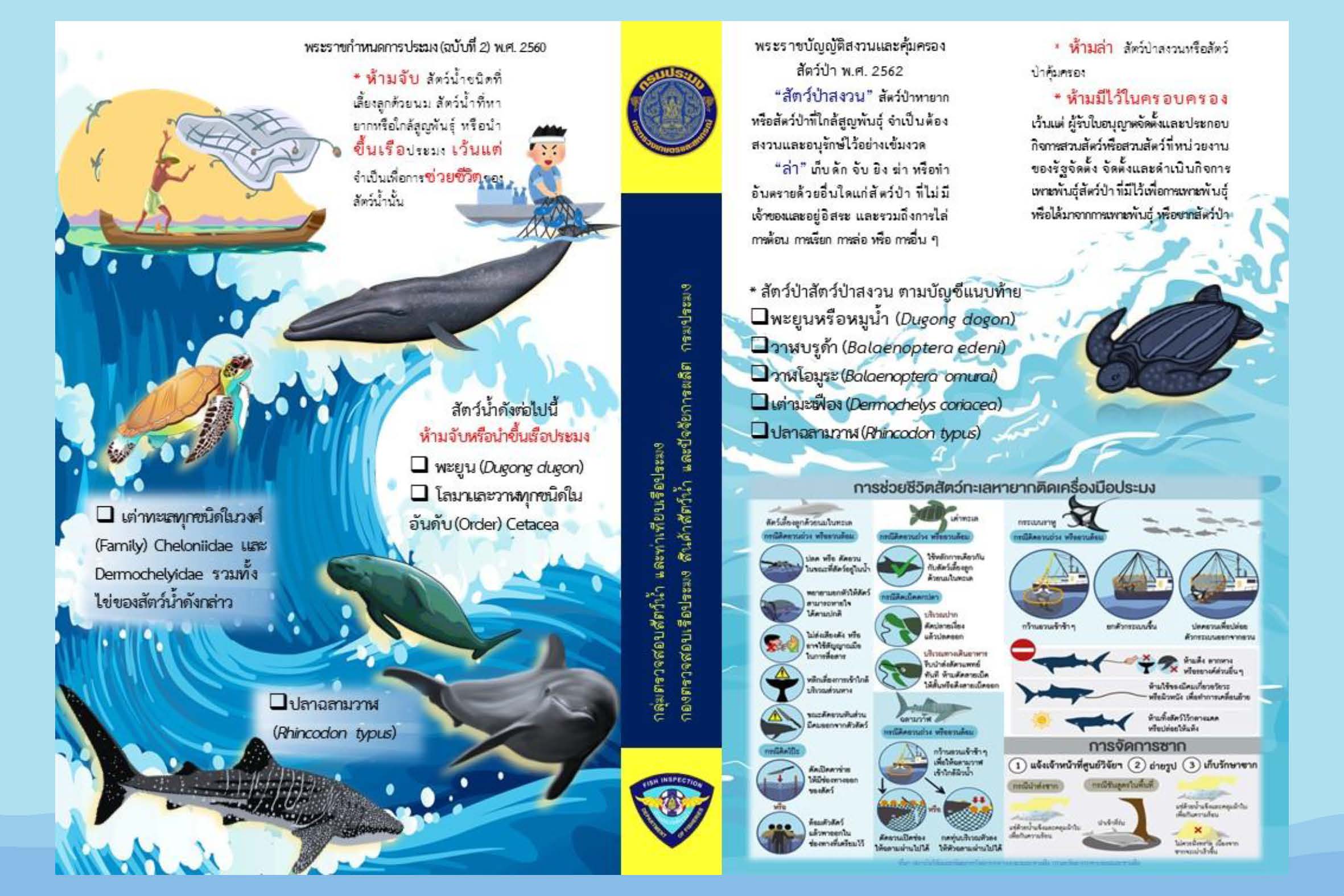 สื่อประชาสัมพันธ์ เพื่อรองรับMarine Mammal Protection Act. ของประเทศสหรัฐอเมริกา..คลิก