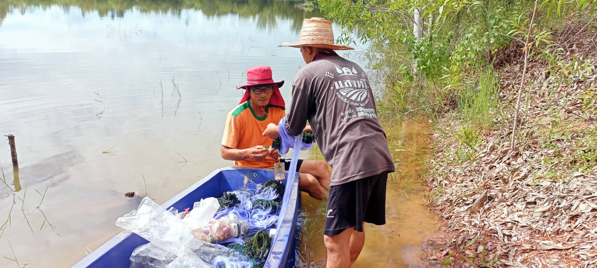  ลงพื้นที่ติดตามการเติบโตของสัตว์น้ำหลังปล่อย