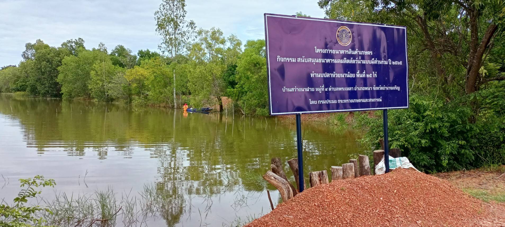 ลงพื้นที่ติดตามการเติบโตของสัตว์น้ำหลังปล่อย..คลิก
