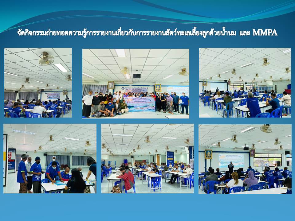 จัดกิจกรรมถ่ายทอดความรู้การรายงานเกี่ยวกับการรายงานสัตว์ทะเลเลี้ยงลูกด้วยน้ำนม และ MMPA..คลิก