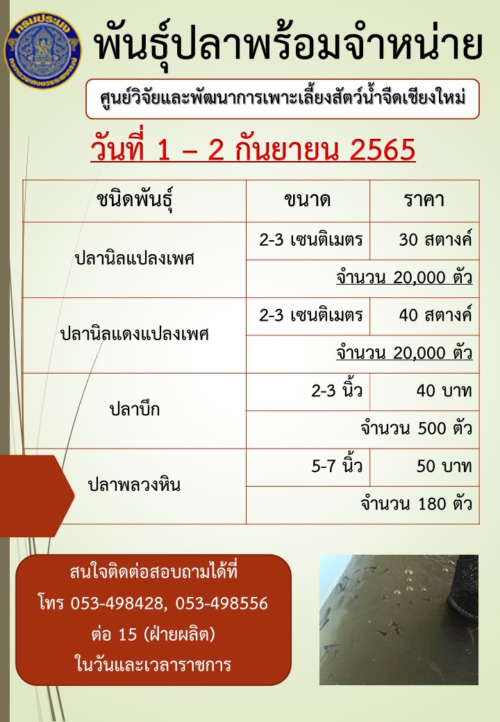 พันธุ์ปลาพร้อมจำหน่าย วันที่ 1 กันยายน 2565..คลิก
