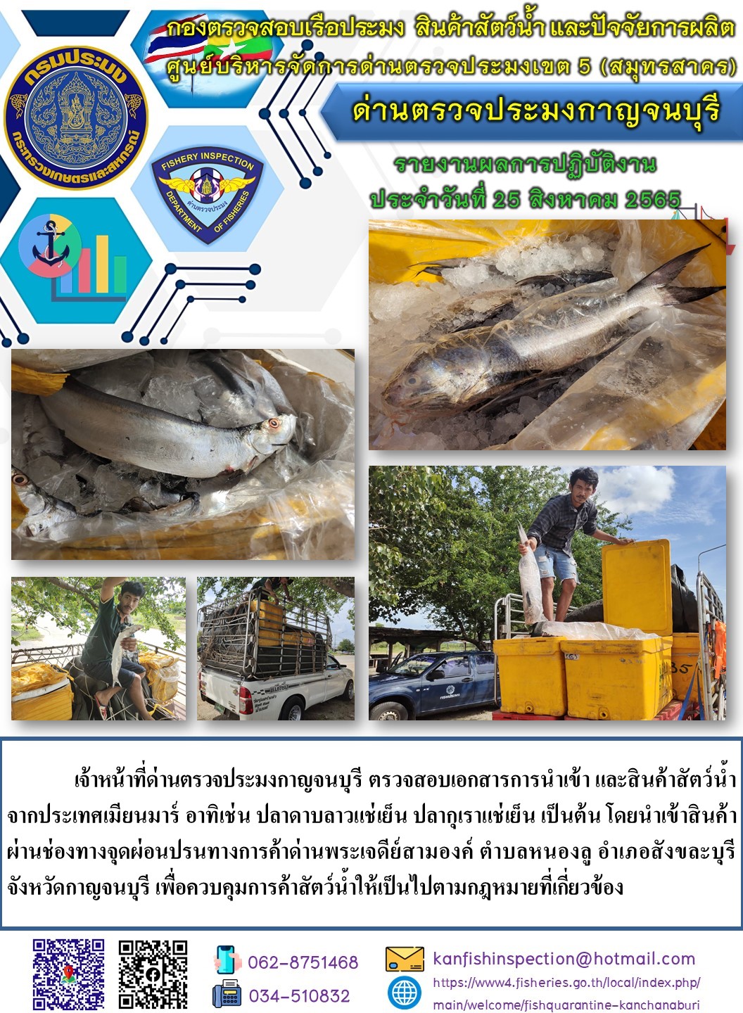 วันที่ 25 สิงหาคม 2565 นายสมพงษ์ คำพล หัวหน้าด่านตรวจประมงกาญจนบุรี มอบหมายให้ เจ้าหน้าที่ด่านตรวจประมงกาญจนบุรี ตรวจสอบเอกสารการนำเข้า และสินค้าสัตว์น้ำ จากประเทศเมียนมาร์ อาทิเช่น ปลาดาบลาวแช่เย็น ปลากุเราแช่เย็น เป็นต้น โดยนำเข้าสินค้าผ่านช่องทางจุดผ่อนปรนทางการค้าด่านพระเจดีย์สามองค์..คลิก
