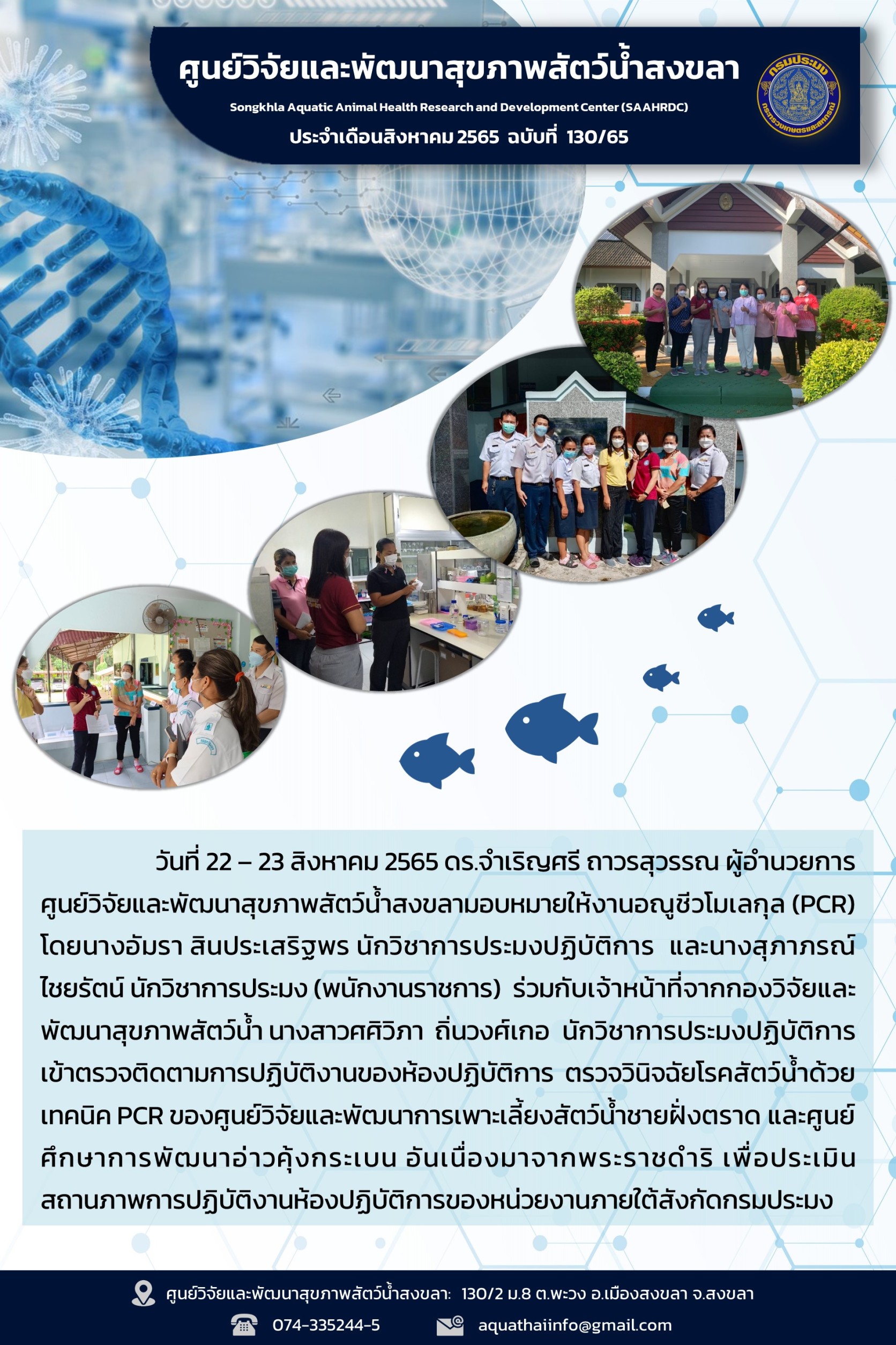ฉบับที่ 130/65  ศูนย์วิจัยและพัฒนาสุขภาพสัตว์น้ำสงขลา เข้าตรวจติดตามการปฏิบัติงานของห้องปฏิบัติการ ตรวจวินิจฉัยโรคสัตว์น้ำด้วย เทคนิค PCR..คลิก