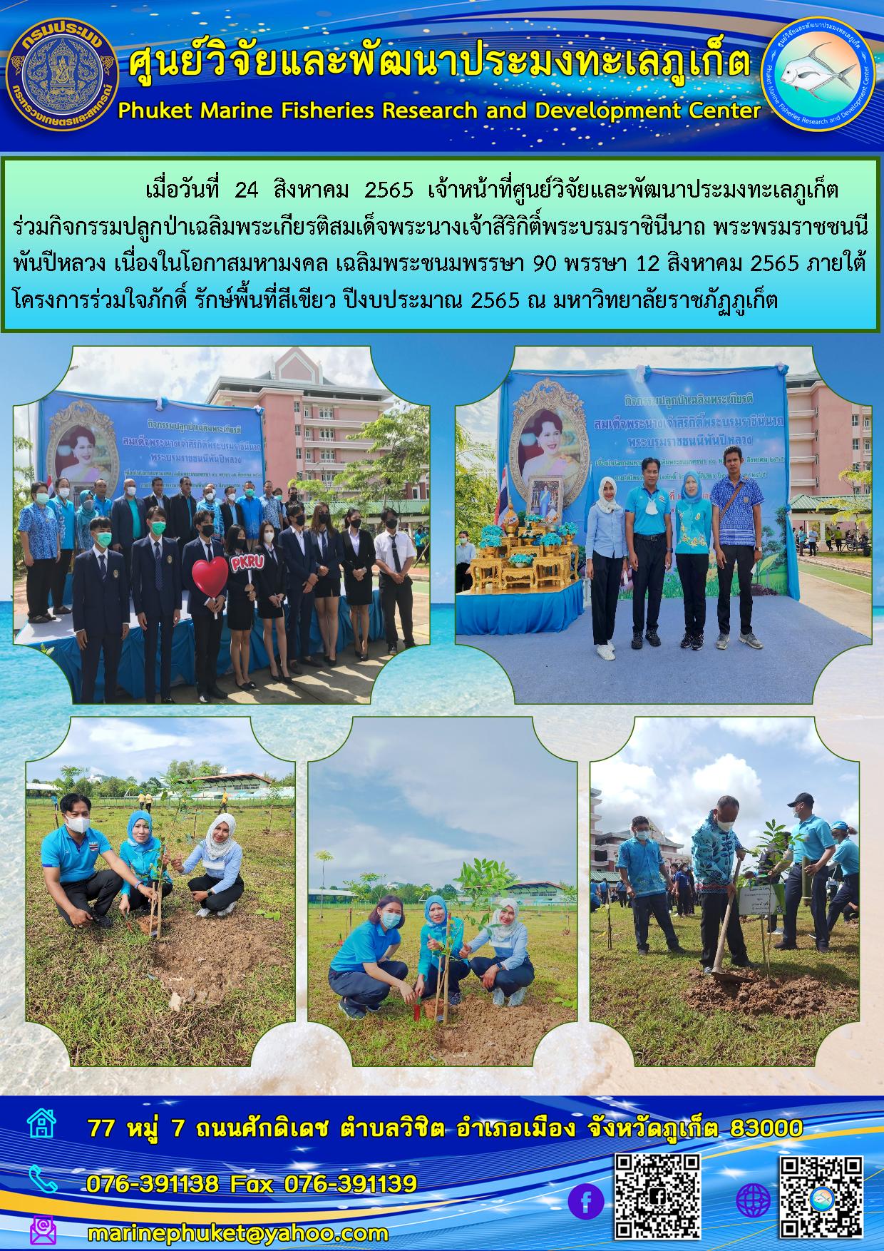 เมื่อวันที่ 24 สิงหาคม 2565  เจ้าหน้าที่ศูนย์วิจัยและพัฒนาประมงทะเลภูเก็ต ร่วมกิจกรรมปลูกป่าเฉลิมพระเกียรติสมเด็จพระนางเจ้าสิริกิติ์พระบรมราชินีนาถ พระพรมราชชนนีพันปีหลวง เนื่องในโอกาสมหามงคล เฉลิมพระชนมพรรษา 90 พรรษา 12 สิงหาคม 2565..คลิก