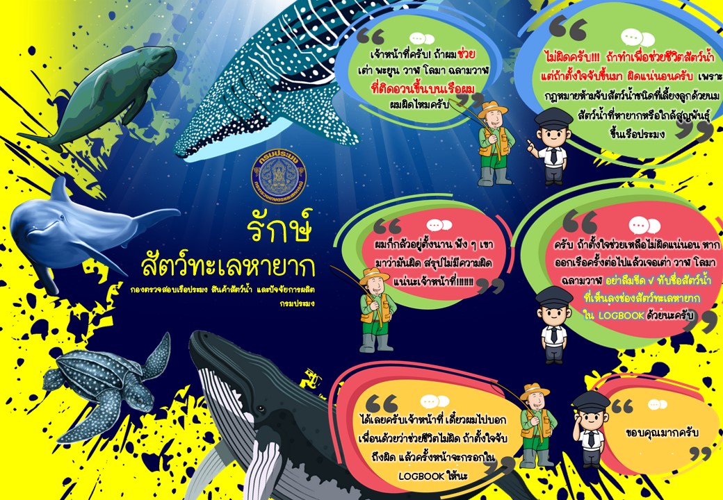 แผ่นประชาสัมพันธ์ MMPA