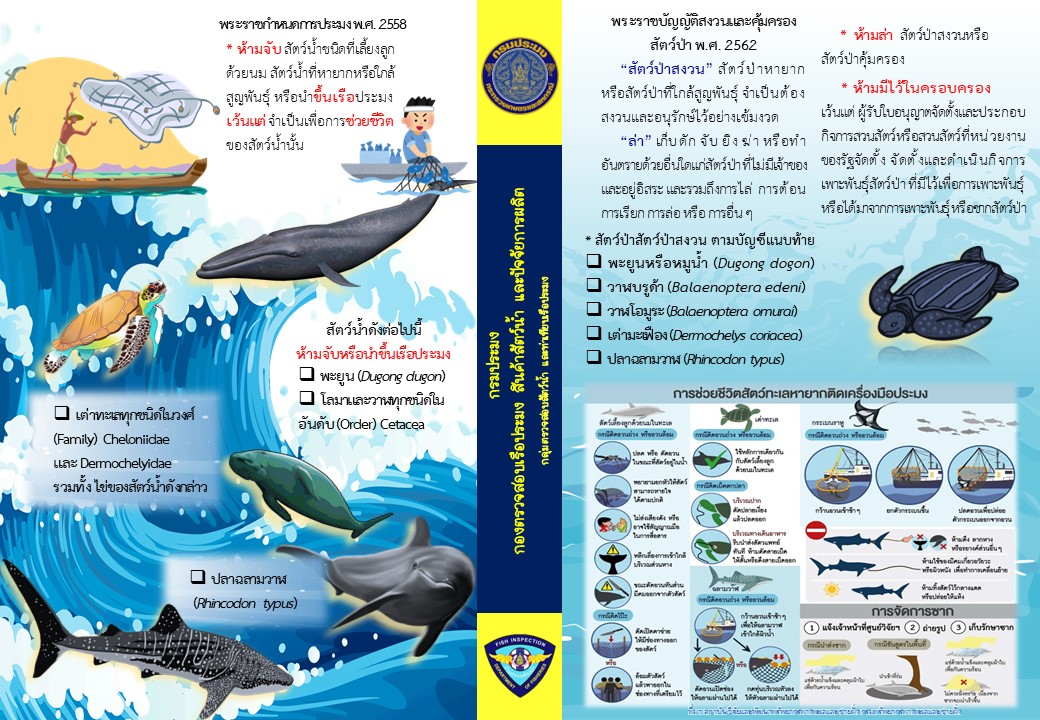 แผ่นประชาสัมพันธ์ MMPA..คลิก