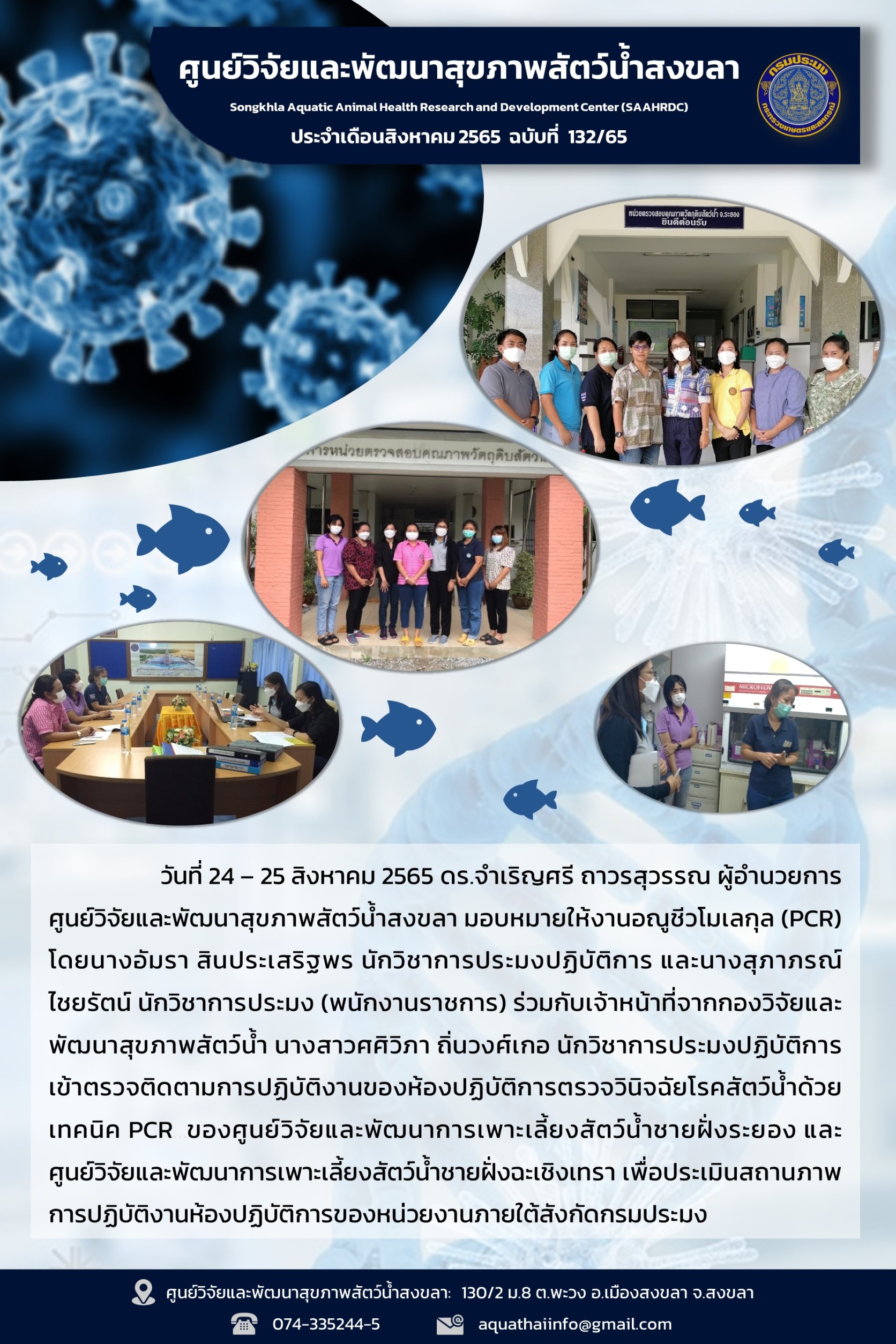 ฉบับที่ 132/65  ศูนย์วิจัยและพัฒนาสุขภาพสัตว์น้ำสงขลา ร่วมกับเจ้าหน้าที่จากกองวิจัยและพัฒนาสุขภาพสัตว์น้ำ เข้าตรวจติดตามการปฏิบัติงานของห้องปฏิบัติการตรวจวินิจฉัยโรคสัตว์น้ำด้วย เทคนิค PCR..คลิก