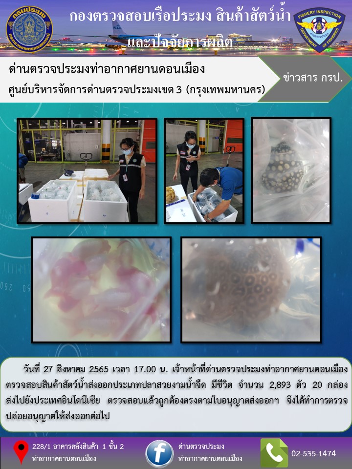 ตรวจสอบสินค้าสัตว์น้ำส่งออก..คลิก