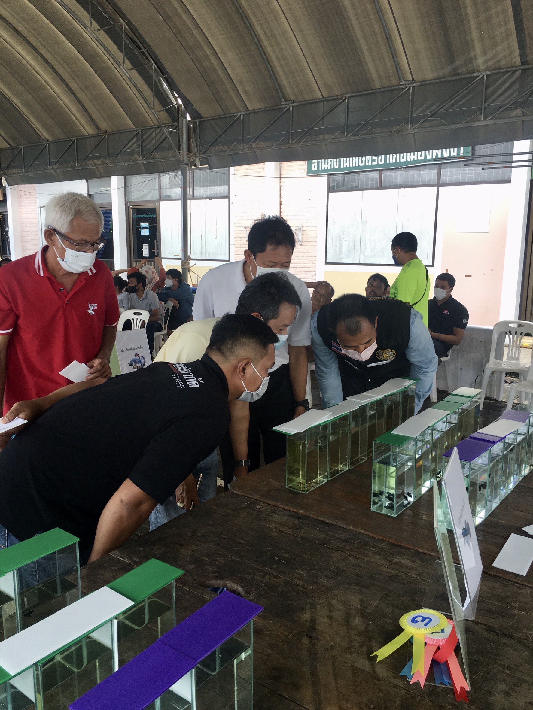 สำนักงานประมงจังหวัดภูเก็ตศึกษาดูงานกิจกรรมการประกวดปลากัดสวยงาม ณ งานเกษตรแฟร์ ครั้งที่ 7 ปี 2565 “เกษตรกรรมยั่งยืน ตามศาสตร์พระราชา”..คลิก