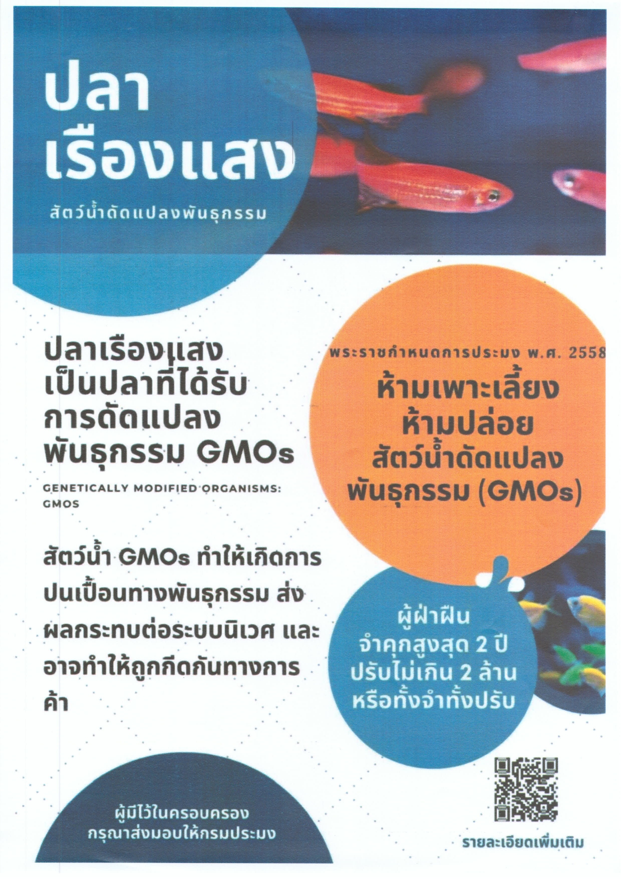 ปลาเรืองแสง” หรือปลาที่ได้รับการดัดแปลงพันธุกรรม (Genetically Modified Organisms : GMOs)..คลิก