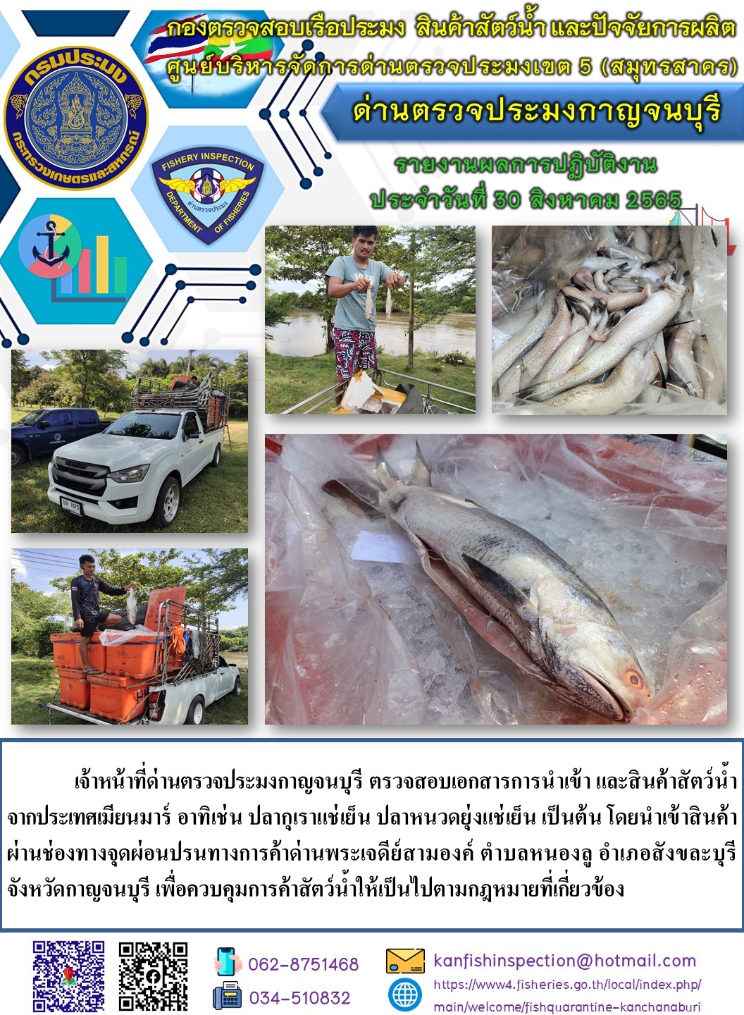 วันที่ 30 สิงหาคม 2565 นายสมพงษ์ คำพล หัวหน้าด่านตรวจประมงกาญจนบุรี มอบหมายให้ เจ้าหน้าที่ด่านตรวจประมงกาญจนบุรี ตรวจสอบเอกสารการนำเข้า และสินค้าสัตว์น้ำ จากประเทศเมียนมาร์ อาทิเช่น ปลากุเราแช่เย็น ปลาหนวดยุ่งแช่เย็น เป็นต้น โดยนำเข้าสินค้าผ่านช่องทางจุดผ่อนปรนทางการค้าด่านพระเจดีย์สามองค์..คลิก