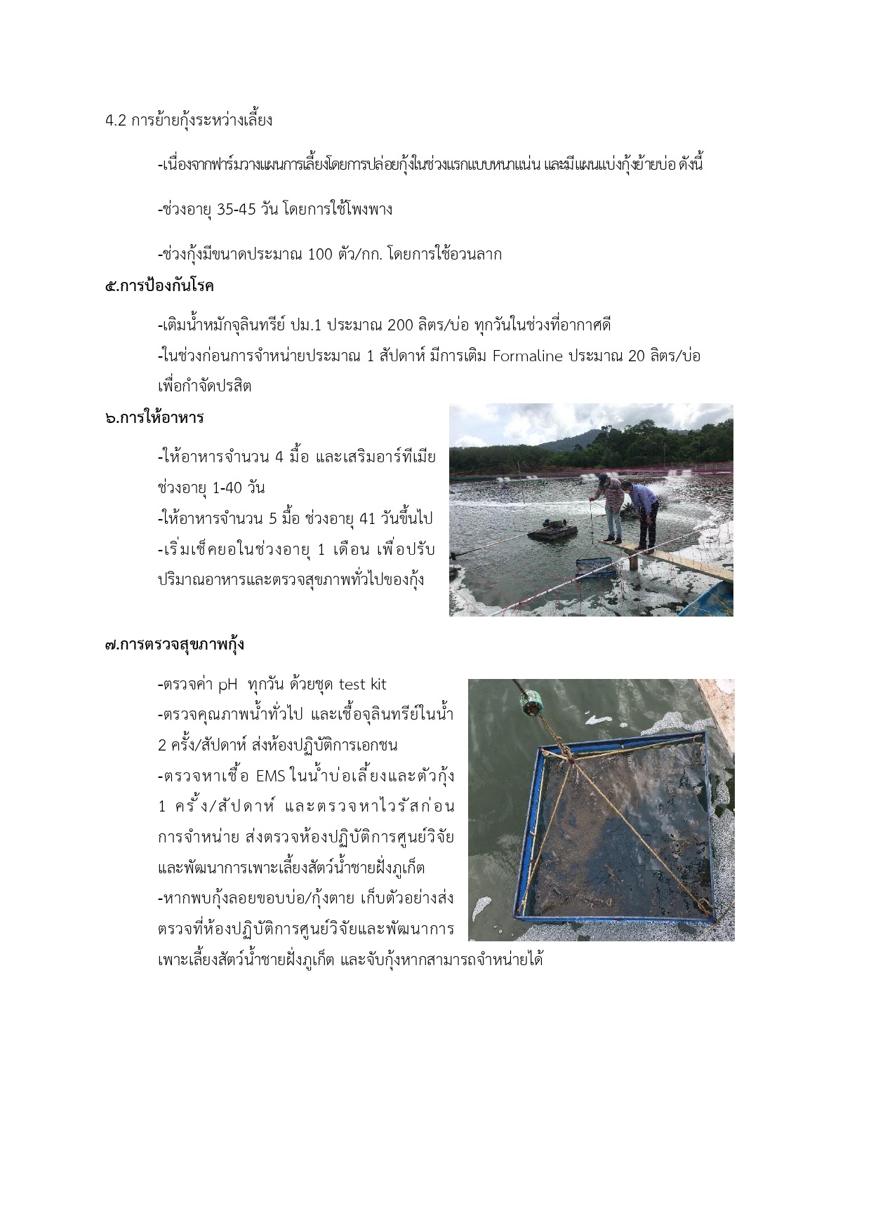 ถอดบทเรียนเกษตรกรผู้เลี้ยงกุ้ง จังหวัดภูเก็ต นายณัฎฐพล เอมเอก มารวยฟาร์ม 1..คลิก
