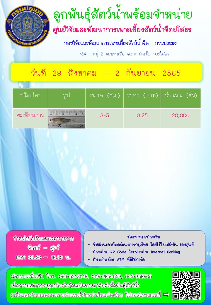 ลูกพันธุ์สัตว์น้ำพร้อมจำหน่าย 29 ส.ค. - 2 ก.ย. 2565..คลิก