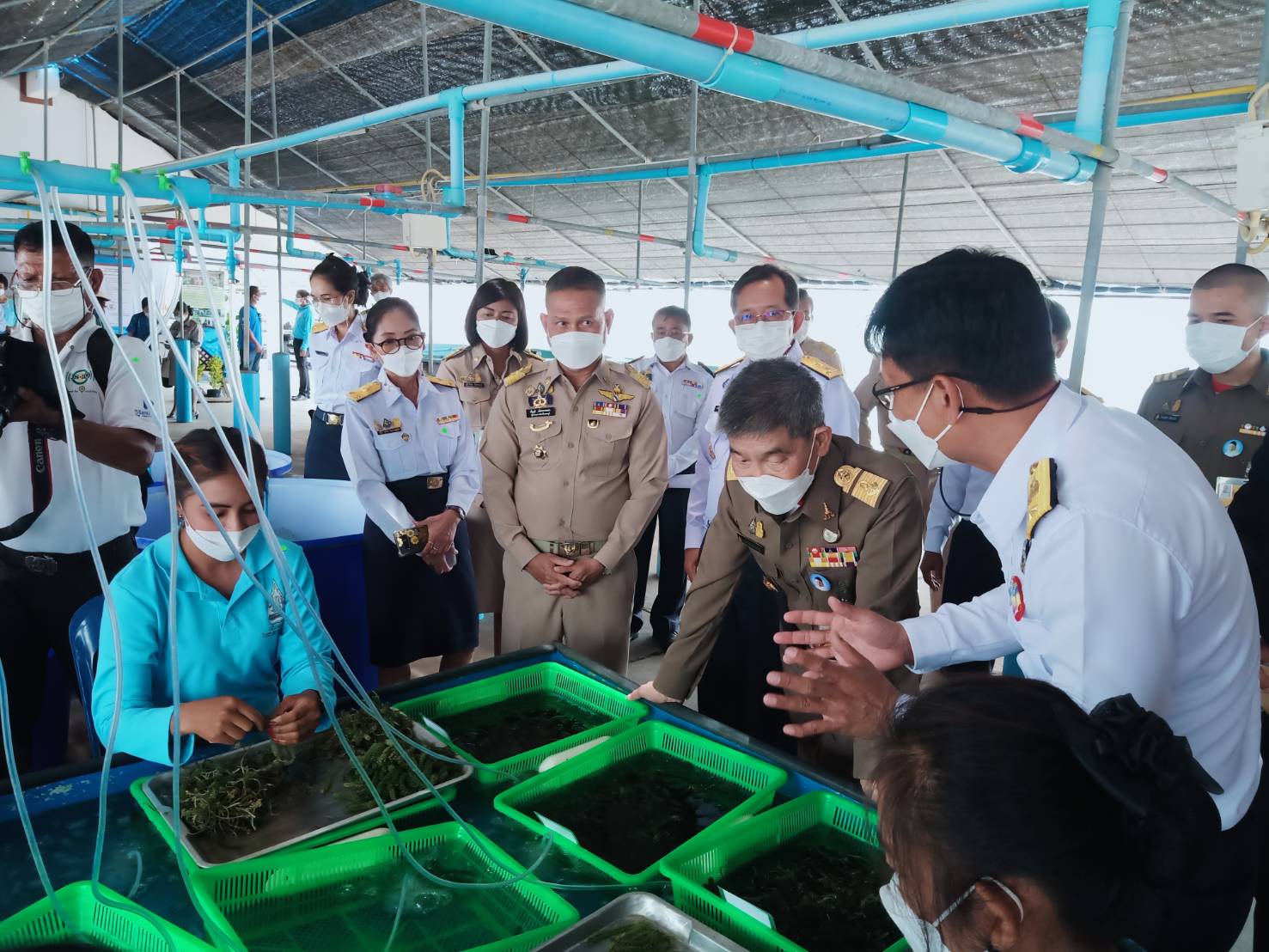 เข้าร่วมกิจกรรมปล่อยพันธุ์สัตว์น้ำเพื่อถวายเป็นพระราชกุศล เนื่องในวโรกาสมหามงคลเฉลิมพระชนมพรรษา สมเด็จพระนางเจ้าสิริกิติ์ พระบรมราชินีนาถ พระบรมราชชนนีพันปีหลวง พระชนมายุ 90 พรรษา 12 สิงหาคม 2565..คลิก