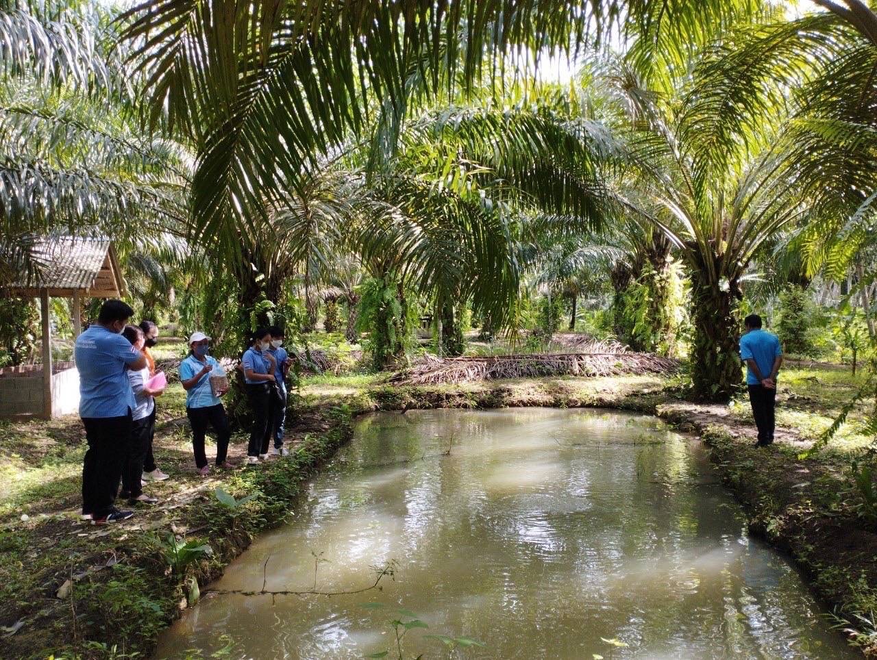 ติดตามผลการดำเนินงานโครงการ และรับฟังความคิดเห็น ข้อเสนอแนะจากเกษตรกรผู้เพาะเลี้ยงปลาหมอ..คลิก